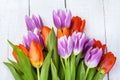 Bouquet of red and purple tulips on white wooden background Royalty Free Stock Photo