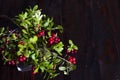 Bouquet of red ripe lingonberries in a glass on a dark wooden background.