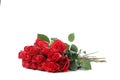 Bouquet of red rose with green leaves isolated on background Royalty Free Stock Photo