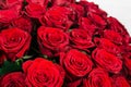 bouquet of 101 red rose isolated on white Royalty Free Stock Photo