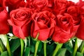 Bouquet of red roses