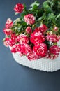 Bouquet of red roses against brick wall background in glass vase  with heart shape petals and red gift box  ribbons  passion love Royalty Free Stock Photo