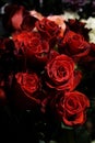 Bouquet of red roses arranged in vase in flower shop Royalty Free Stock Photo