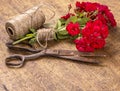 Bouquet of Red Roses, ball of Twine and Old Rusty Scissors on Wooden Table