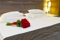 bouquet of red roses on the bed in a hotel room for honeymoon. romantic meeting of guests at the hotel. Royalty Free Stock Photo