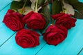 Bouquet of red roses on blue wooden table. Top view and copy space. Valentine day. Mock up. Mother day Royalty Free Stock Photo