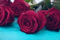 Bouquet of red roses on blue wooden table. Top view and copy space. Valentine day. Mock up. Selective focus. Mother day Royalty Free Stock Photo