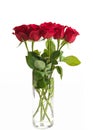 Bouquet of Red Roses in a Clear Glass Vase Isolated on a White Background Royalty Free Stock Photo