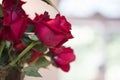 Bouquet of red roses Royalty Free Stock Photo