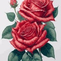 bouquet of red roses closeup, postcard Royalty Free Stock Photo