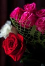 Bouquet of red roses in dark colors