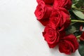 Bouquet of red roses with dew drops on white wooden vintage background close-up. Royalty Free Stock Photo