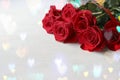 Bouquet of red roses with dew drops on white wooden vintage background close-up. Royalty Free Stock Photo