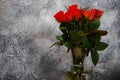 Bouquet red roses flower in glass vase on gray background