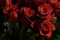 Bouquet of red roses arranged in vase in flower shop Royalty Free Stock Photo