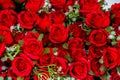 Rose - Flower, Rose Petals, Flower, Bouquet, Dozen Roses