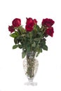 Bouquet of Red Roses in a Glass Vase Royalty Free Stock Photo