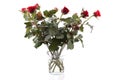 Bouquet of red roses in glass vase over white Royalty Free Stock Photo