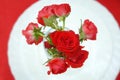 Bouquet of Red Roses in Glass Vase over white Plate. Flat lay. Top view. Royalty Free Stock Photo