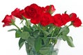 Bouquet of red roses in glass vase on white background Royalty Free Stock Photo