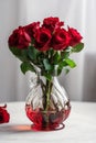 bouquet of red roses in glass vase on white background Royalty Free Stock Photo