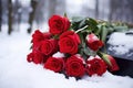 a bouquet of red roses on a grave covered in snow Royalty Free Stock Photo