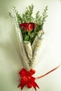 Bouquet of red roses on a white background Royalty Free Stock Photo