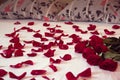 Bouquet from red roses and his scattered petals on a bed