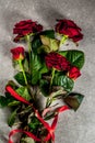 Bouquet of red roses Royalty Free Stock Photo