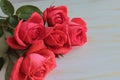 A bouquet of red roses lies on a light surface. Royalty Free Stock Photo