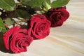 A bouquet of red roses lies on a wooden surface. Royalty Free Stock Photo