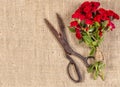 Bouquet of Red Roses and Old Rusty Scissor