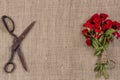 Bouquet of Red Roses and Old Rusty Scissors on jute background Royalty Free Stock Photo