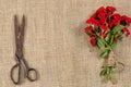 Bouquet of Red Roses and Old Rusty Scissors on on rustic jute background Royalty Free Stock Photo