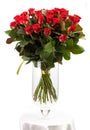 Bouquet of red roses over white Royalty Free Stock Photo