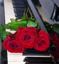 Beautiful bunch of red rose on piano keys, close up Royalty Free Stock Photo