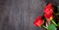 A bouquet of red roses, top view. Valentine`s Day background. Royalty Free Stock Photo