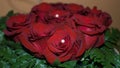 A bouquet of red roses for Valentine`s Day Royalty Free Stock Photo