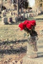 Bouquet of red roses in a vase in a cemetery