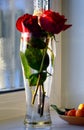 A bouquet of red roses in a vase on the windowsill. Ripe tangerines with leaves in a plate.