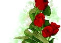 Bouquet of Red Roses Water Color