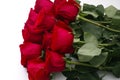 Bouquet of red roses on white background Royalty Free Stock Photo