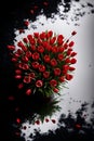 bouquet of red tulips on an abstract black and white background. Royalty Free Stock Photo