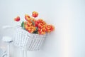 Bouquet Of Red Tulips In A Basket On A White Background
