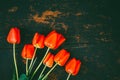 Bouquet of red tulips on black wooden retro grunge background with copy space Royalty Free Stock Photo