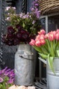 Bouquet of red tulips and blue bells in large zinc cans for sale in Liberty store in London