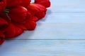 Bouquet of red tulips on a blue wooden background