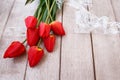 Bouquet of red tulips