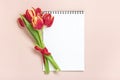 Bouquet of red tulips, gift box heart, notepad on pink background Top view Flat lay Holiday greeting card Happy Royalty Free Stock Photo