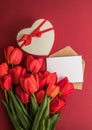 Bouquet of red  tulips and gift heart box isolated on red background . Spring flowers. Greeting card for Birthday, Woman, Mother` Royalty Free Stock Photo